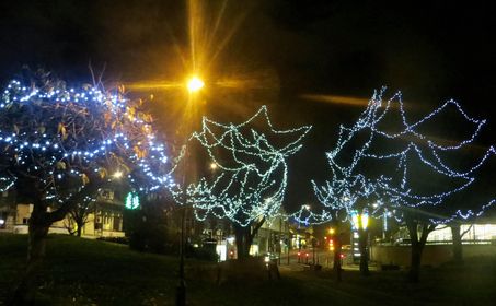 Christmas lights in the trees at Jubilee Gardens, Bingley