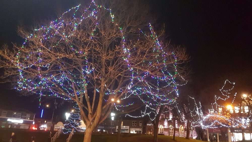 Trees lit up