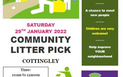 Community litter pick